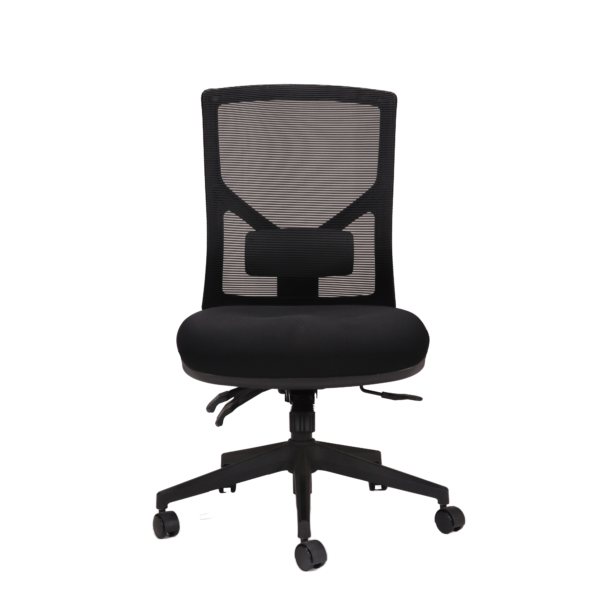 Breeze Mesh Chair (BREEZE BL)