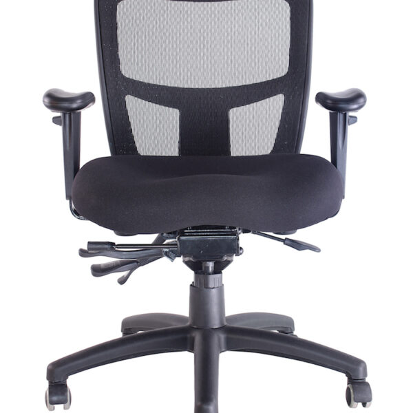 Promesh Heavy Duty Chair 5 Lever Fully Ergonomic Mechanism (ERGO TASK)