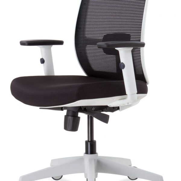 Promesh White Frame Chair Synchro Mechanism (LUMINOUS TASK)
