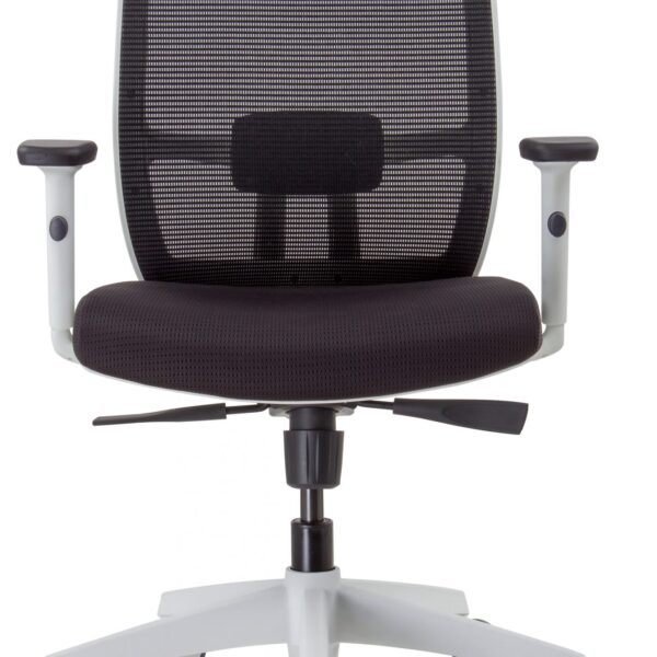 Promesh White Frame Chair Synchro Mechanism (LUMINOUS TASK)