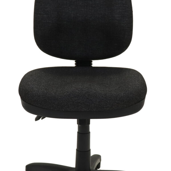 Heavy Duty Commercial Grade Ergonomic Chair (PO500)