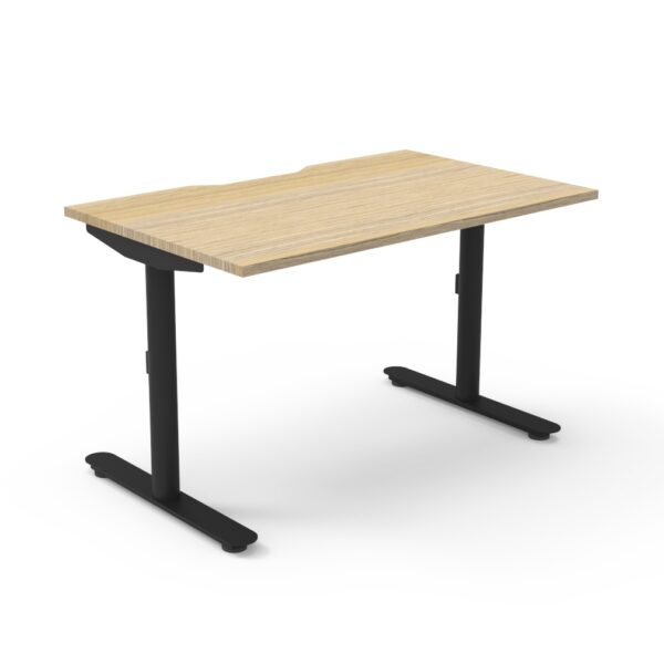 Halo Static Back To Back Workstation With Screen (HS2PWS)