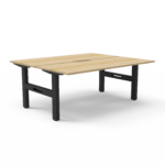Boost Static Back to Back Workstation (SB2P)