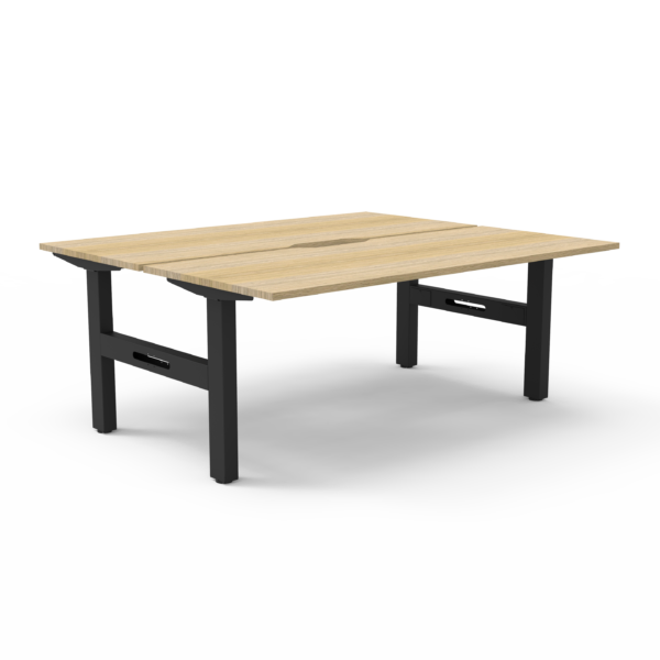 Boost Static Back to Back Workstation (SB2P)
